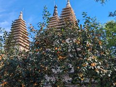 -北京石刻艺术博物馆(五塔寺)