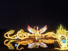 -武汉园博园(武汉自然博物馆)