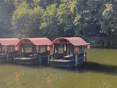 -侨美·唐荔园·40年地道粤菜