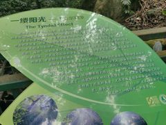 -西双版纳原始森林公园