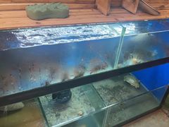 -李东农庄(中南百草园地标店)