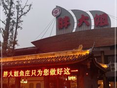 -胖大姐黄辣丁鱼庄(新津店)