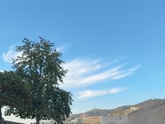 -阿尔罕布拉宫