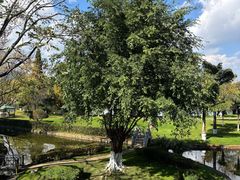 -云南滇池花园国际大酒店温泉