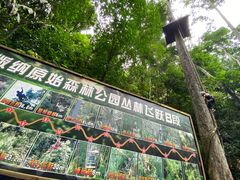 -西双版纳原始森林公园