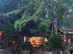 -青城甲(青城山店)