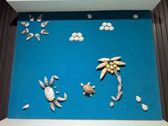 -青岛贝壳博物馆