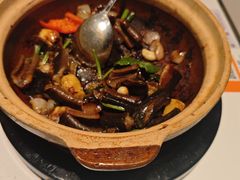 -新兴·金羊座·粤菜点心(乐峰店)