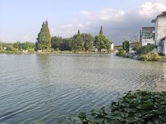 -水岸居湖景农家乐·阳澄湖大闸蟹