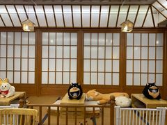 -豆柴町-柴犬主题狗咖(红鼎国际C座店)