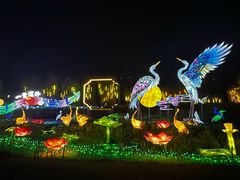 -洋湖国家湿地公园