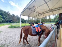-太阳岛度假酒店