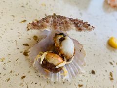 -港畔赶海蒸汽海鲜烧烤自助(仙螺岛店)