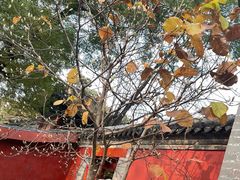 -红螺寺
