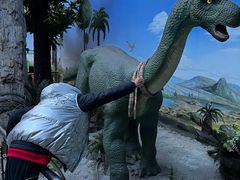 -国家自然博物馆