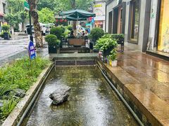-南宋御街