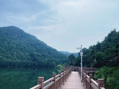 -桃花岭景区
