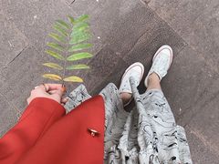 -曼听御花园