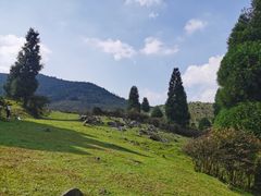 -武陵山森林公园