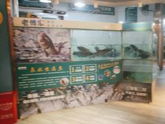 -老傅家湘潭水煮活鱼店(众一国际店)