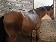 -意大利农场度假村