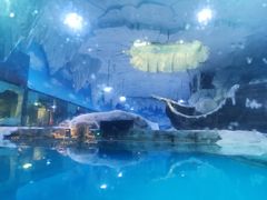-芜湖新华联大白鲸海洋公园