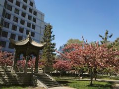 校内小亭-曲阜师范大学(曲阜校区)