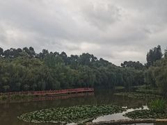 -月牙潭公园