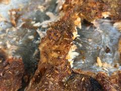 -村东第一家私房菜馆(古北水镇店)