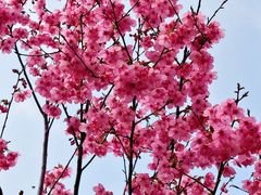 -梁鸿国家湿地公园