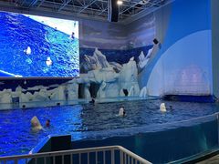 -福州罗源湾海洋世界旅游区