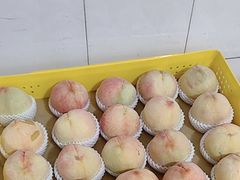 -老袁家蜜桃农场·阳山水蜜桃