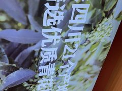 -吃城都·鱼蛙火锅(西玉龙街店)