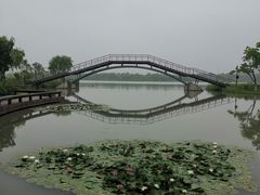 -海宁鹃湖公园