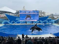 -上海海昌海洋公园