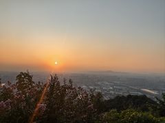 -杭州半山国家森林公园