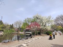 -宣武艺园