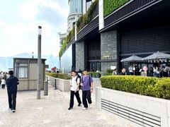 -星光大道