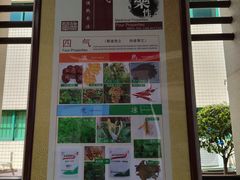 -广州神农草堂中医药博物馆
