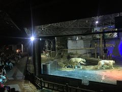-清迈夜间动物园