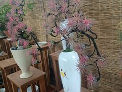 -龙大花卉苗木市场