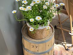 -Joymean coffee.见面咖啡