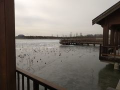 -天津东丽湖风景区