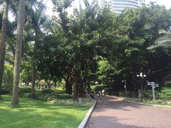-东风公园