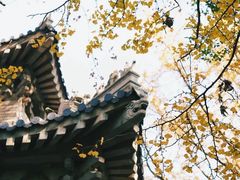 -灵谷景区