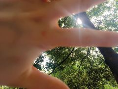 -重庆市江北嘴中央商务区中央公园