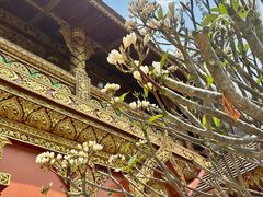 -西双版纳总佛寺