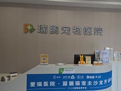 -瑞鹏宠物医院·骨科·猫科·内科(第一中心)