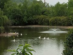 -西安秦岭野生动物园