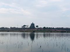 -上海海湾国家森林公园